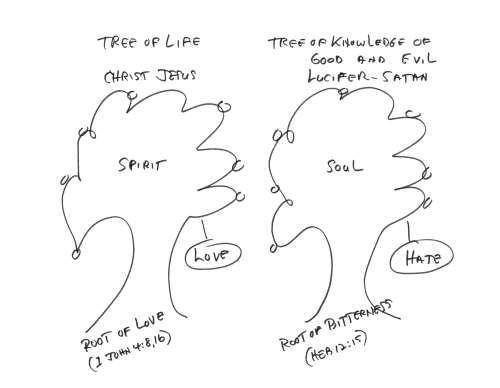 Two Fruits: Love And Hate